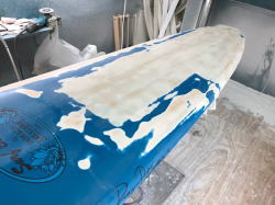 �o�[�z�[�� �G�|�L�V �h�i���h�E�^�J���} mid 1_10